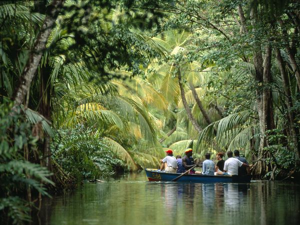 Du lịch rừng nhiệt đới tại Dominica